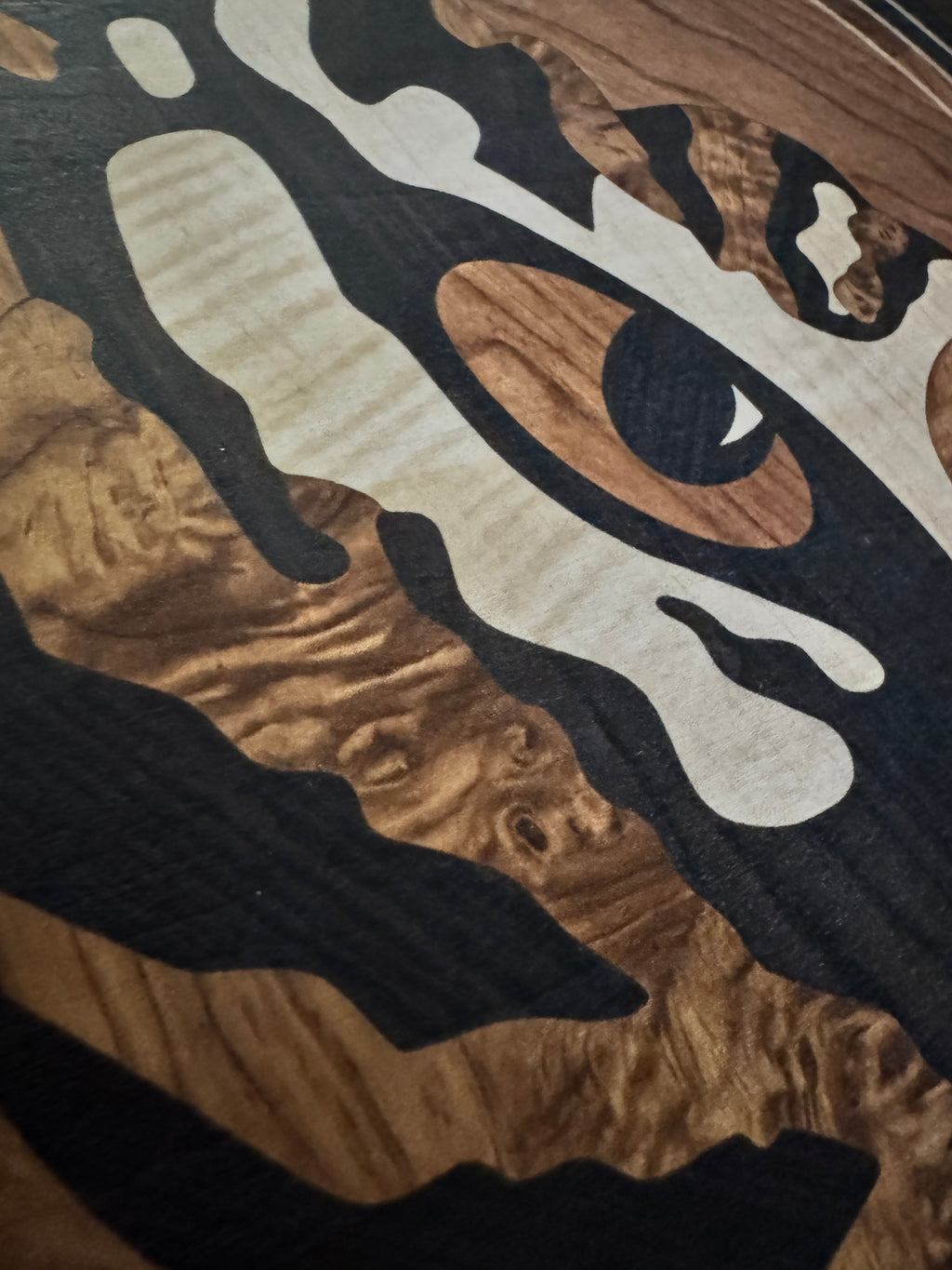 Eye of the Tiger
