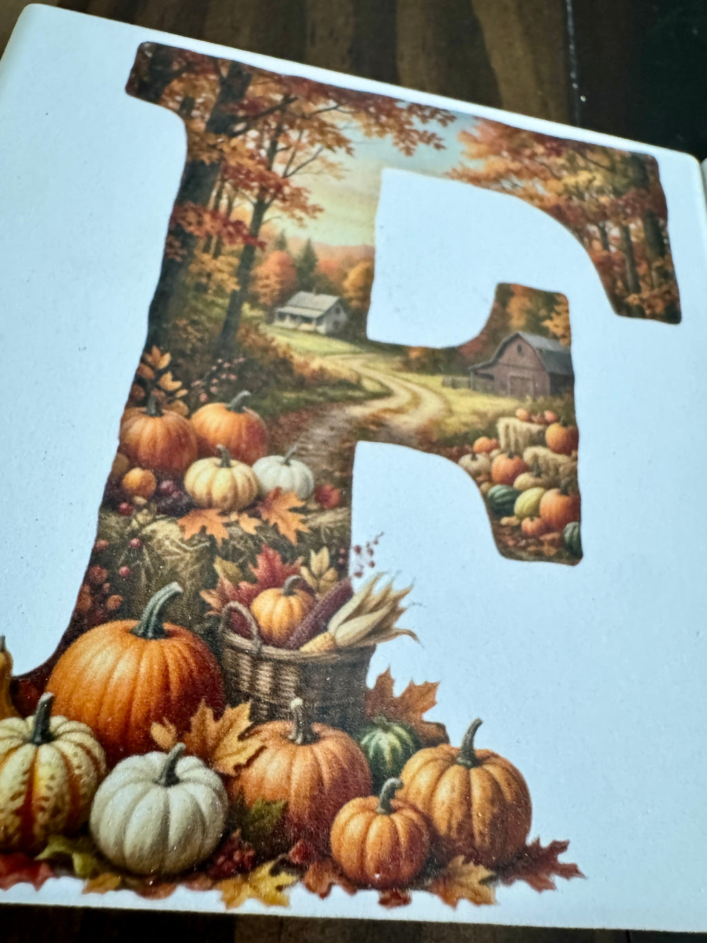 Fall coasters set of 4