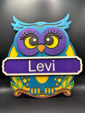 Personalized Owl door signs
